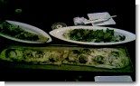 080520_LION.JPG 080520_LION.JPG
