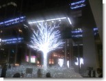 071130_藪伊豆05.JPG 071130_藪伊豆05.JPG