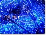 071130_藪伊豆07.JPG 071130_藪伊豆07.JPG