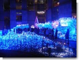 071130_藪伊豆08.JPG 071130_藪伊豆08.JPG