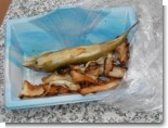 魚吉4.JPG 魚吉4.JPG
